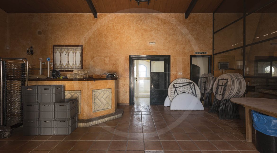 FINCA CHICLANA-16