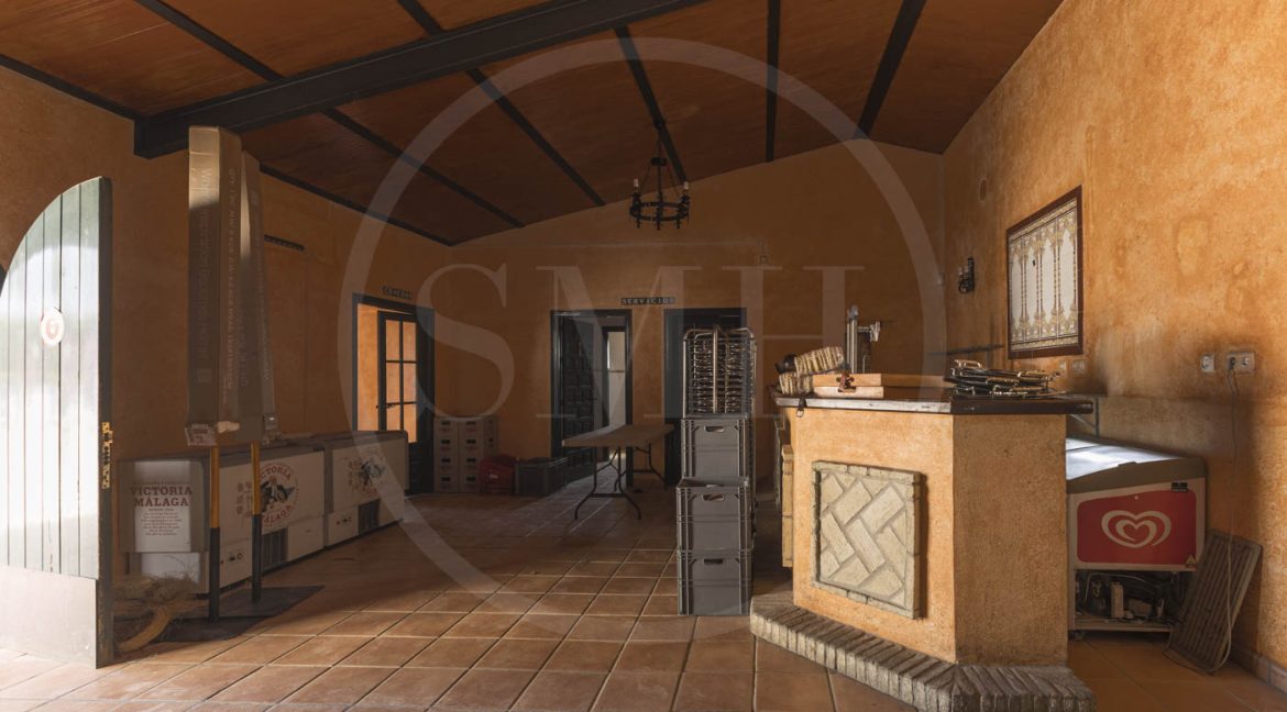 FINCA CHICLANA-17