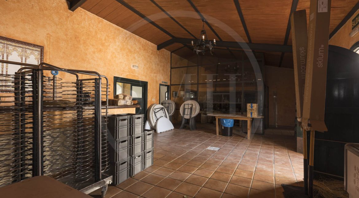 FINCA CHICLANA-18