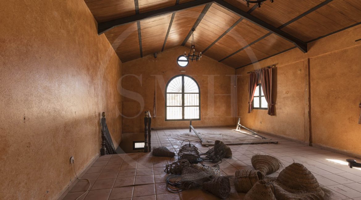 FINCA CHICLANA-19