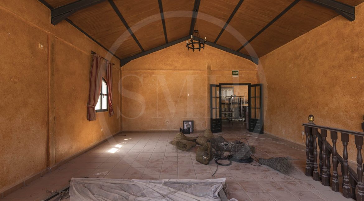 FINCA CHICLANA-20