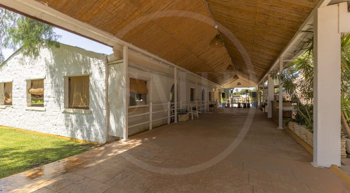 FINCA CHICLANA-30