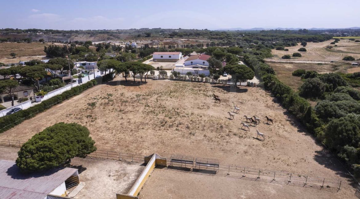 FINCA CHICLANA-8