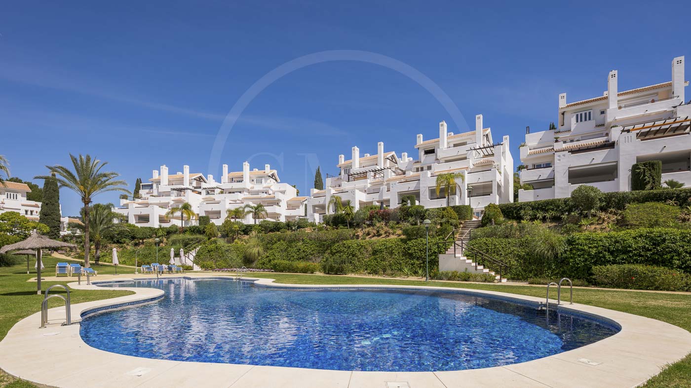 LosMonterosPalmBeach-13