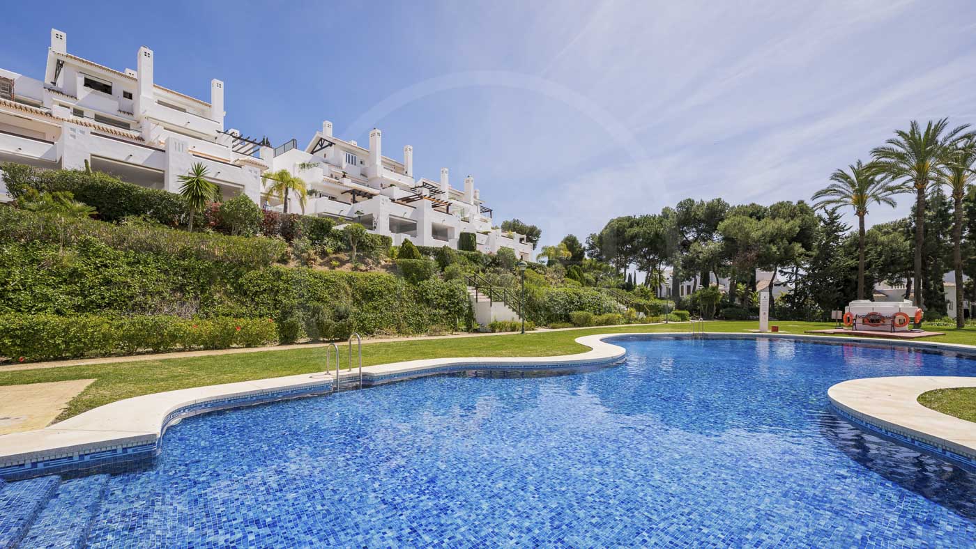 LosMonterosPalmBeach-16